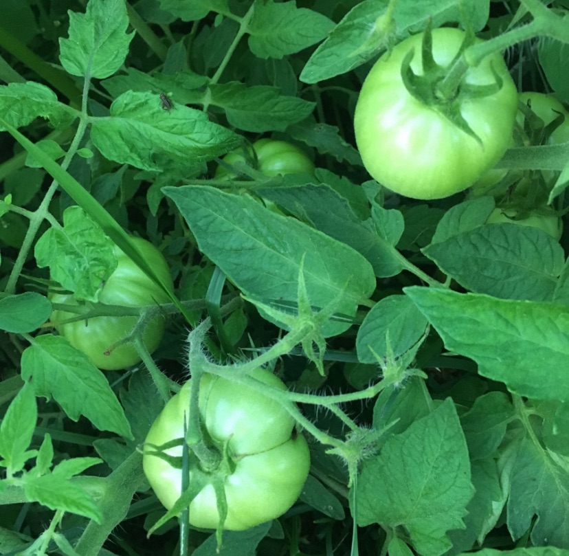 7 Ways to Improve Your Nutrition (without cutting&nbsp;calories)