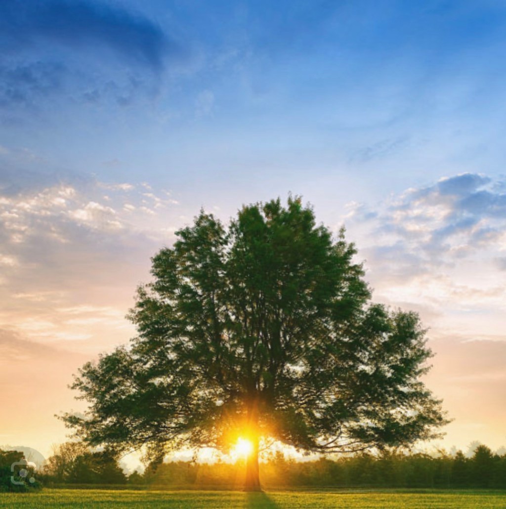 Where I Find&nbsp;Inspiration